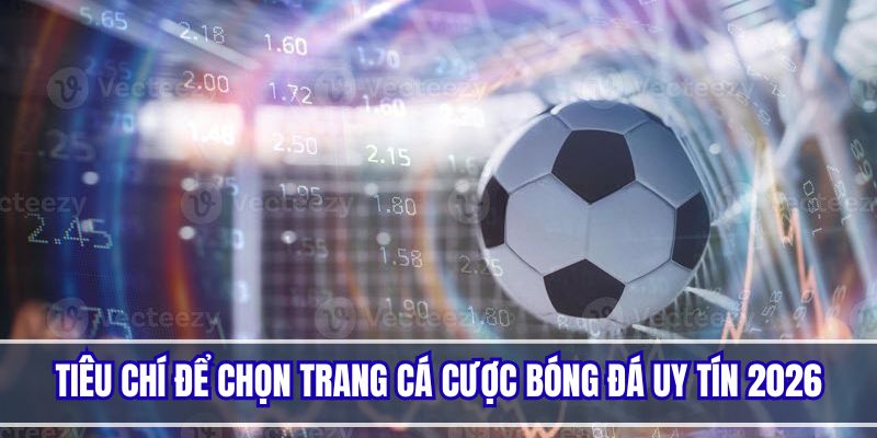 Tổng hợp các tiêu chí cơ bản để nhận biết web cá cược uy tín
