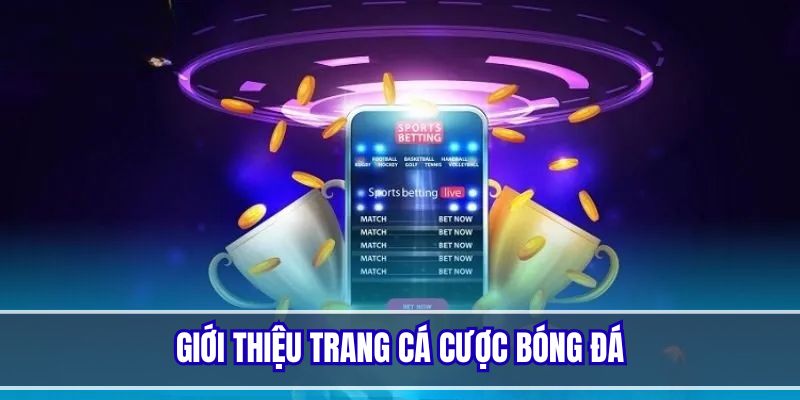 Đôi điều cơ bản về trang cá cược bóng đá